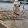sobeastly
