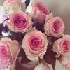 annefleurprivee