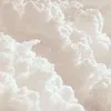 aicul13