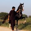 chshahzad3111