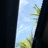 saintgi2