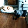 ethanmerrill31