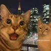 sosoalamera8
