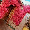 luz.1234lya