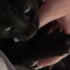 tabitha_labrecque101