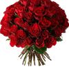 aamm33a