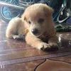 bichthao064