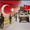 ayyildiz781
