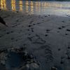 iirne09