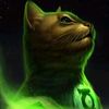 gato_mahalko