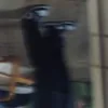 romanfan69