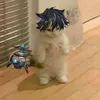 542_dragon._.blue_542
