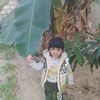 atefmohamed243