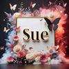 sueabubakar