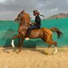 عامر آل منجم 🐎