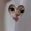 meena_5836