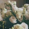 kholoud_164