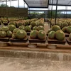 tran_tuyen0302
