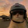 Wingman_tt