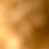 randomperson1449