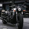 mouhamedamin593