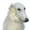 treizeur