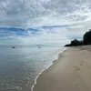 feli_ciaxy