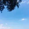 thanh_nht