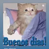 odeasedon
