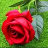 imtiaztabussam2770