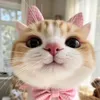 duy_24tuoiroi