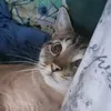 nina_kobu