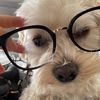 mochiethemorkie