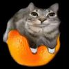 swaggerballs6969