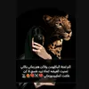 nadeh__1992