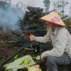 hoangninhhh