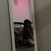 delaneynicolep