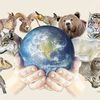 extinctionofanimals