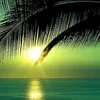 mp.sara7810810162281