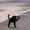 Chíp:>