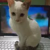 leeanhminhh