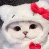 shinta_defi22