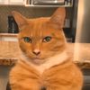 huijsen.www.tiktok.com