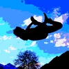 btw_felix.flips