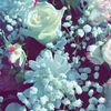 user6216001646354