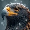 muhammadarshad6856