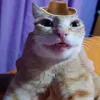 memer_monkey01