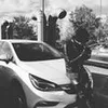 dalmitch_