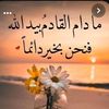 wafa.hashem