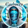 cachorro5.0.2